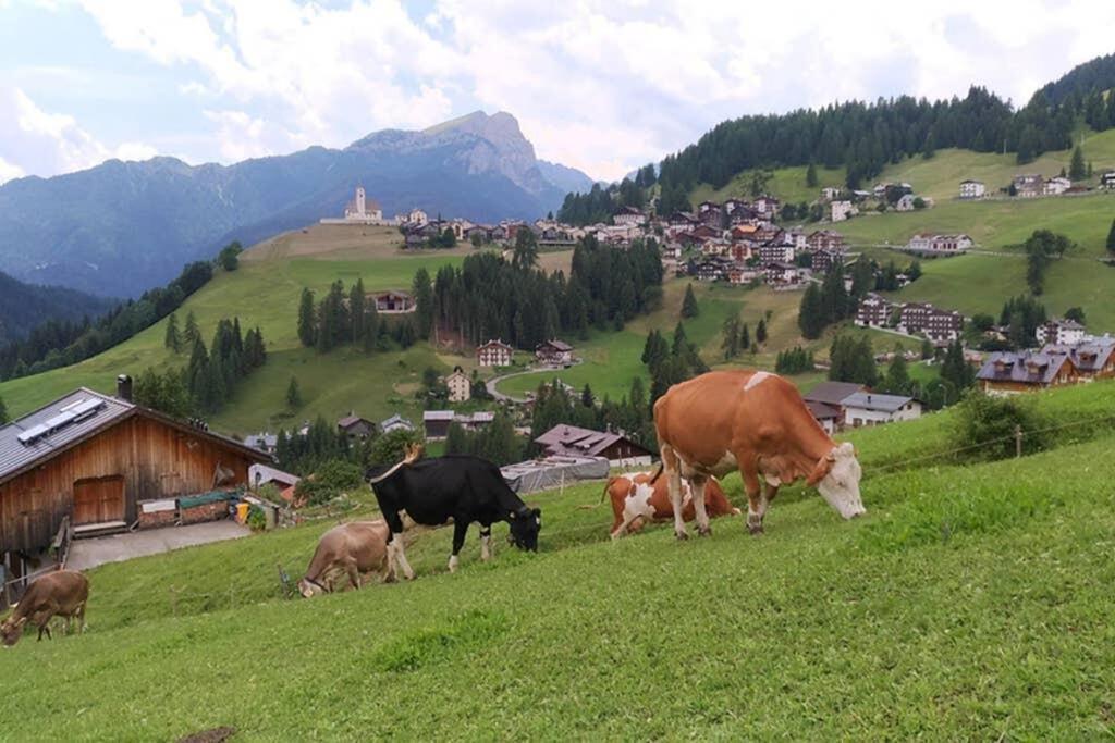App. Monte Pore - Agriturismo La Majon Colle Santa Lucia Esterno foto